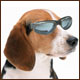 forum avatar