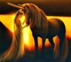 forum avatar