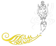 Steam Genie