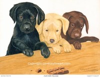 Richard C O Lovesey Fine Art & Print