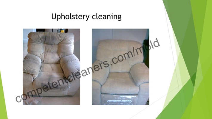Competent Cleaners Mold