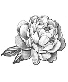 Andrew Bunyan Monumental Stone Mason