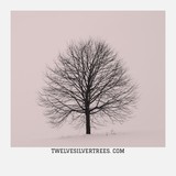 Twelve Silver Trees Ltd