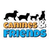 Canines & Friends