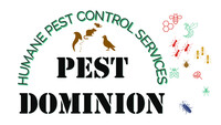 Pest Dominion Limited