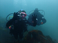 DiveClub Northern Ireland
