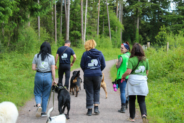 Natural Balance Dog Training LTD