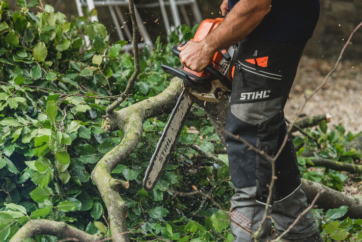 Springwood Tree Services Ltd