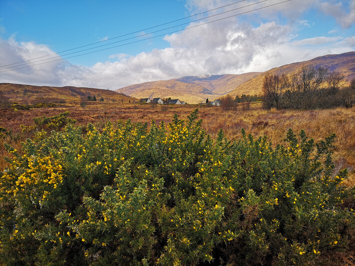 ScotTaxi Fort William