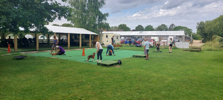 Wagtail Walks and Training