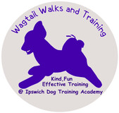 Wagtail Walks and Training