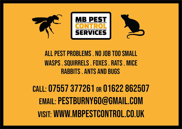 Mb pest control services