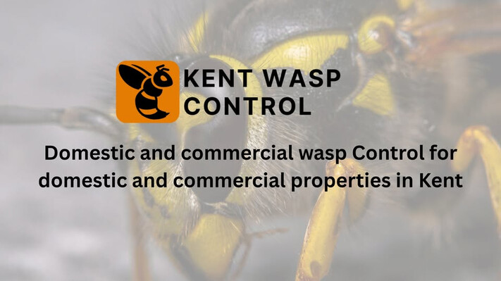 Kent Wasp Control