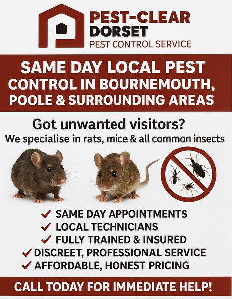 Pest-Clear Dorset